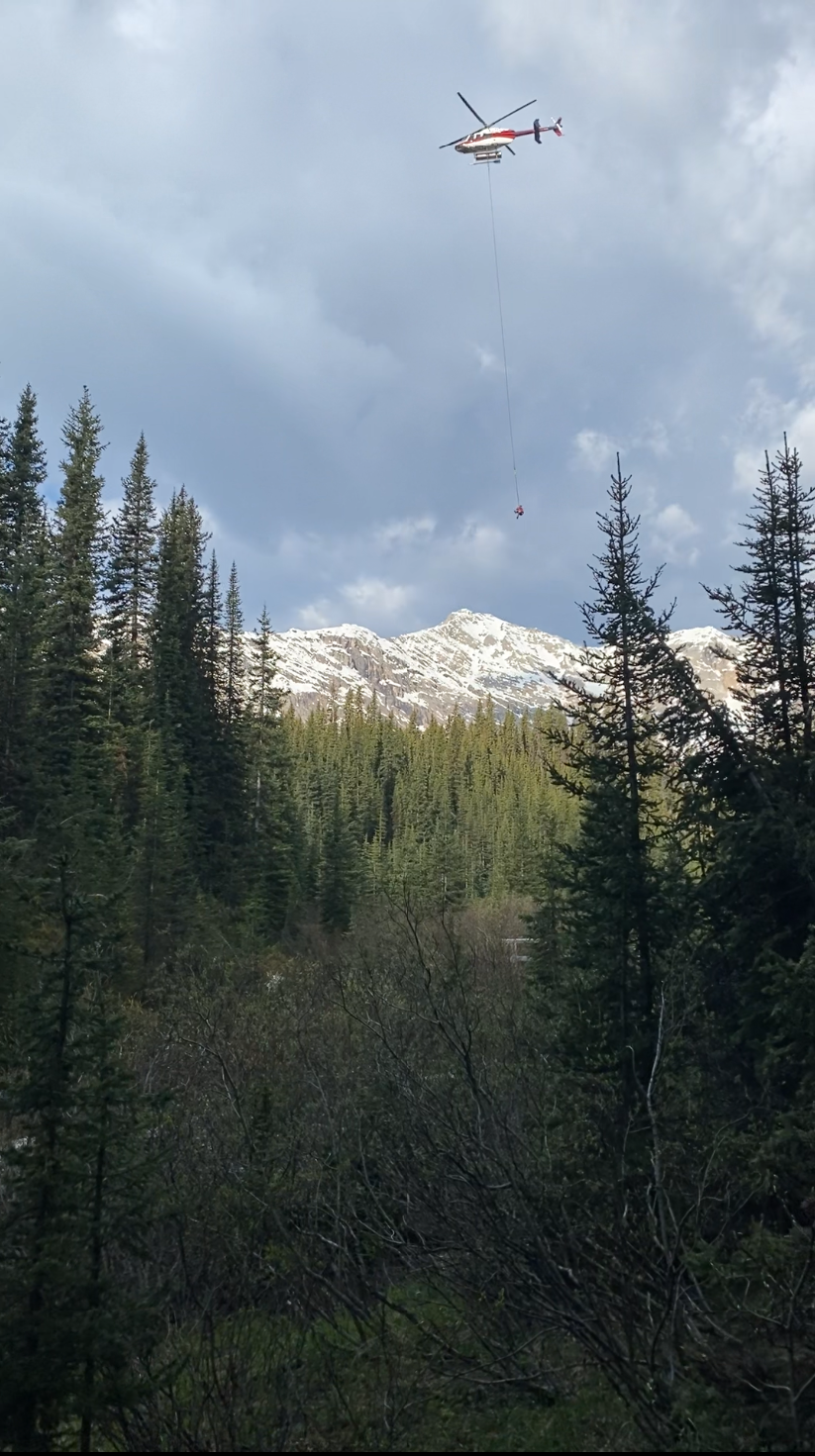 Backcountry Campers Assist in Dramatic Late-Night Rescue in Banff