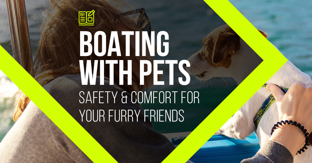 Boating with Pets: Ensuring Safety & Comfort for your Furry Friends